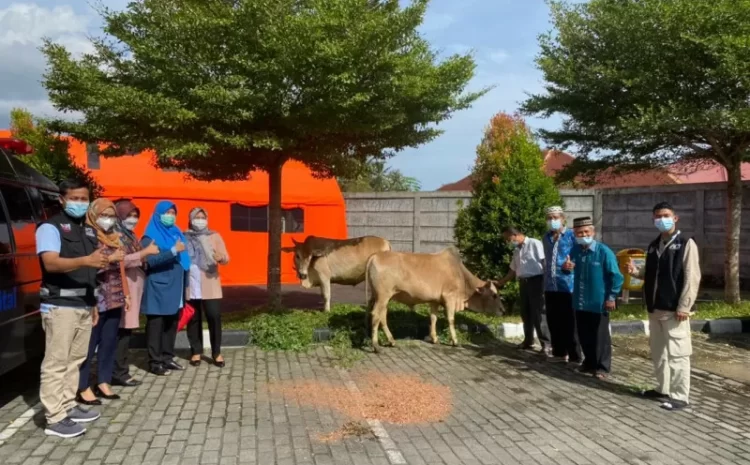  Yayasan Semen Padang  Salurkan Kurban Untuk Masyarakat Sekitar